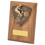 Build Your Own Wood Plaque with Trim