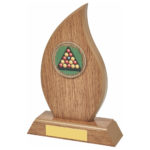 Build Your Own Wood Tear Trophy with Coloured Centre