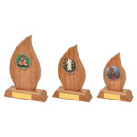 Build Your Own Wood Tear Trophy with Coloured Centre