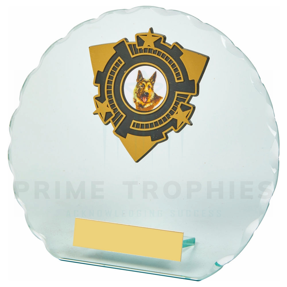 Circular Jade Glass Award with Trim