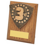 Wood Plaque with Placement Trim