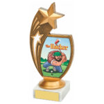 Shooting Star ‘The Hacker’ Trophy