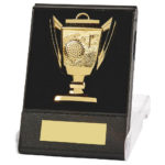 Cup Golf Medal in Case