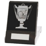 Cup Golf Medal in Case