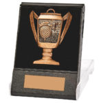 Cup Golf Medal in Case