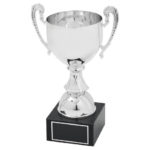 Silver Presentation Cup with Handles