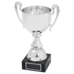 Silver Presentation Cup with Handles