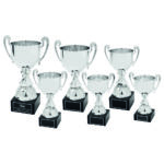 Silver Presentation Cup with Handles