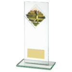 Rectangular Glass Male Golf Trophy