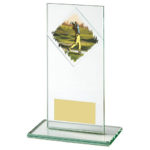 Rectangular Glass Male Golf Trophy