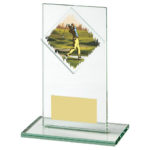 Rectangular Glass Male Golf Trophy