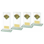 Rectangular Glass Male Golf Trophy