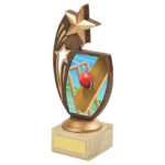 Shooting Star Cricket Trophy