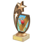 Shooting Star Cricket Trophy