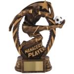 Managers Player Football Award