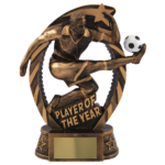 Player of the Year Football Award