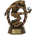 Players Player Football Award