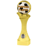 Players Player Football Column Trophy