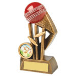 Speed Ball & Wicket Cricket Trophy