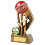 Speed Ball & Wicket Cricket Trophy