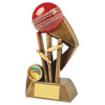 Speed Ball & Wicket Cricket Trophy