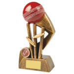 Speed Ball & Wicket Cricket Trophy