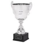 Gold or Silver Presentation Cup With Handles