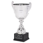 Gold or Silver Presentation Cup With Handles