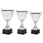 Gold or Silver Presentation Cup With Handles