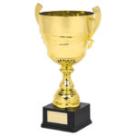 Gold or Silver Presentation Cup With Handles