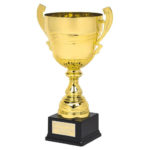 Gold or Silver Presentation Cup With Handles