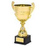 Gold or Silver Presentation Cup With Handles