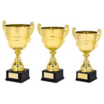 Gold or Silver Presentation Cup With Handles