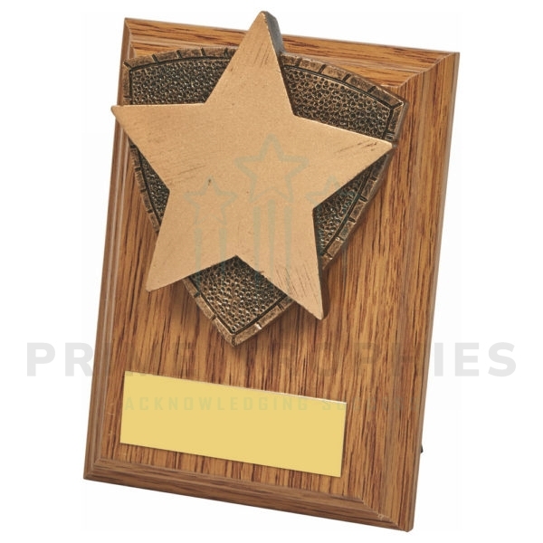 Wood Plaque with Star Trim