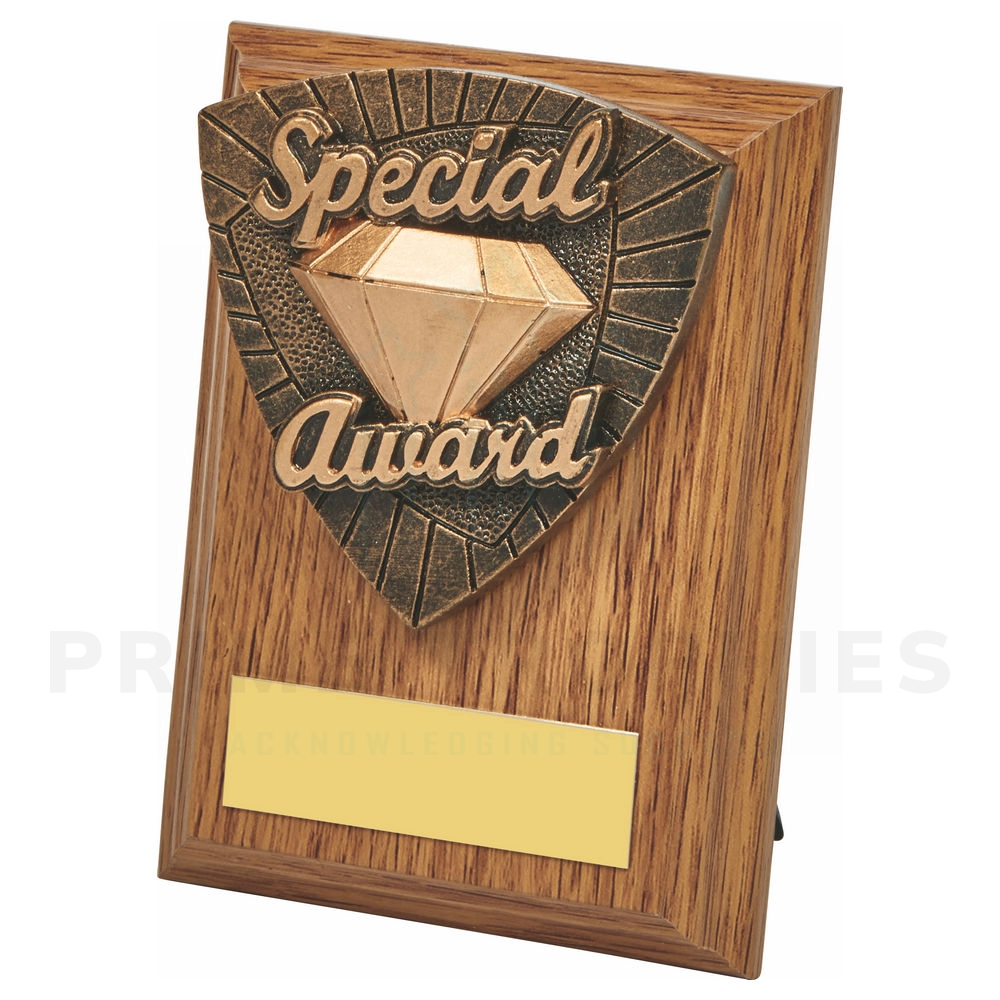 Wood Plaque with Special Award Trim