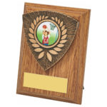 Wood Plaque with Utility Trim