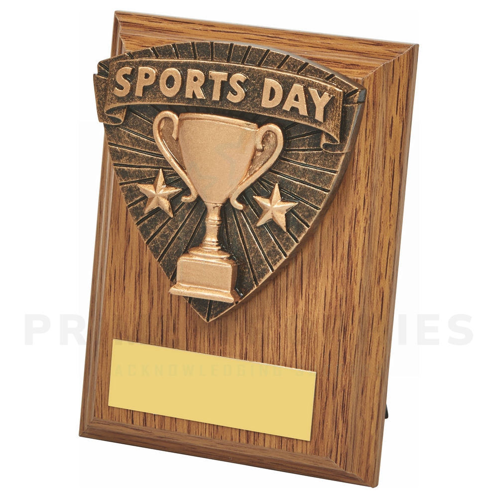 Wood Plaque with Sports Day Trim