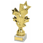 Gold Silver or Pink Stars Achievement Trophy