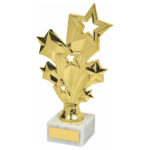 Gold Silver or Pink Stars Achievement Trophy