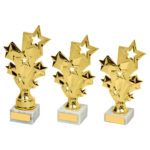 Gold Silver or Pink Stars Achievement Trophy