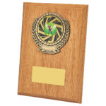 Light Oak Wood Plaque Award with Wreath Trim