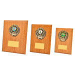 Light Oak Wood Plaque Award with Wreath Trim