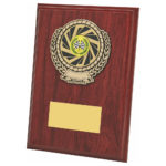 Wood Plaque Award with Wreath Trim