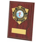 Wood Plaque Award with Trim