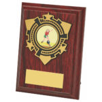 Wood Plaque Award with Trim