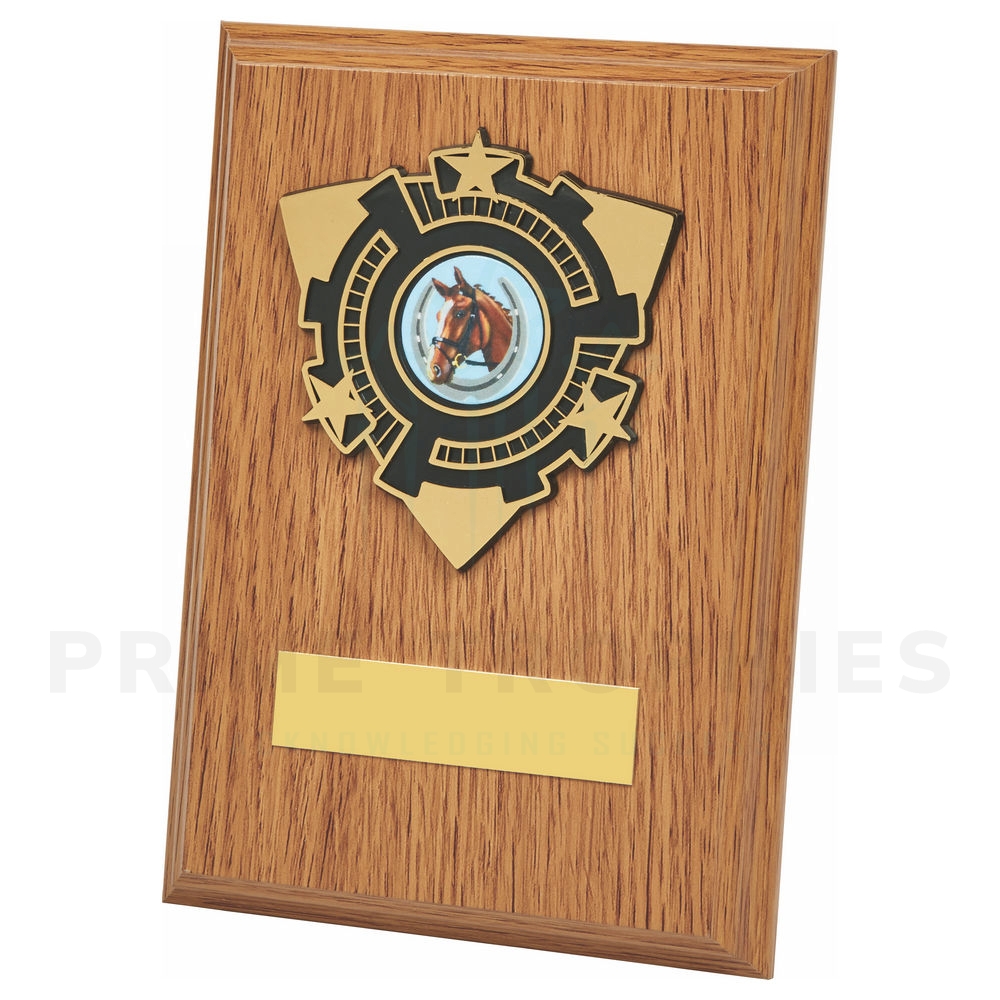 Light Oak Wood Plaque Award with Trim
