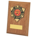 Light Oak Wood Plaque Award with Trim