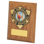 Light Oak Wood Plaque Award with Trim