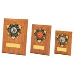 Light Oak Wood Plaque Award with Trim