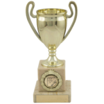 Gold Football Cup Trophy with a Marble Base 2